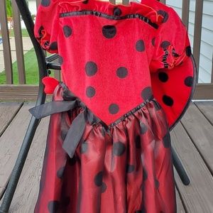 Koala kids NWT ladybug costume size 5T